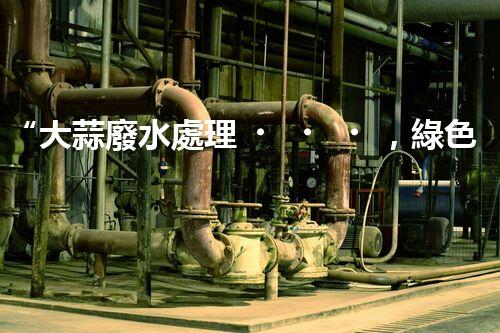 “大蒜廢水處理，綠色環(huán)保新篇章”
